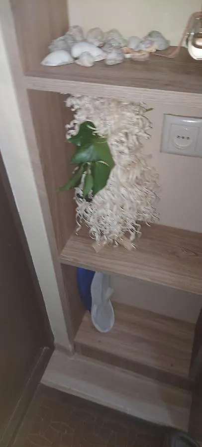 Студия У Моря Батуми 巴统